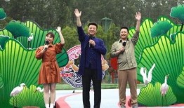 迷蝶岛最新爆料消息视频,神秘视频揭示岛屿秘密与未知奇遇